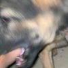 _biba_075