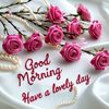 ashrafch238
