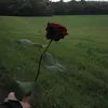 error_404o1