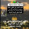 mohmad.alaskry