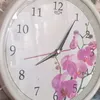 snenahmad0