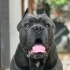 samo.oputeno7