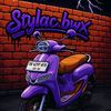 stylac.bwx
