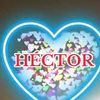 hectoralexander586