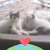 maria.sandriana.r