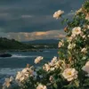 r_rh_5