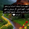 user7842546302252