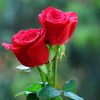thein.zaw1414