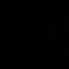 priiv_248