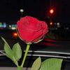 doaa61949