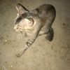 heru3441710434381