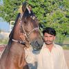 murtaz.malik5