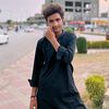 sher_3135