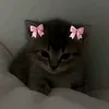 sunaa_priww