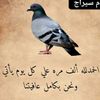 user5914860614050