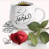 user184671243