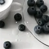 lu_na1999