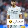 user69161784418194