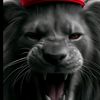 .lorelis