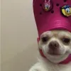 hdhshhshsb