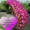 aylin.ztrk38
