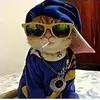 noel.sajan4