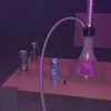 gagaur6