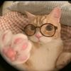 sarahi_7500