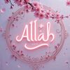 shaikhmam3