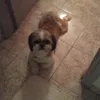 rafaela_tiktok7