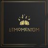litmomentum