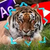 drago.fm_cc3