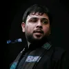 zin_d18