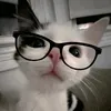 sc_gb11