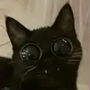 oddboi73