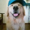 luuyxr