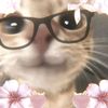 masonsays_meow