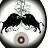 kinglodza01