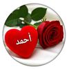 aliaallii7