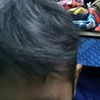 satzz_roar