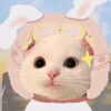dalisha1237