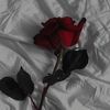 frosteddarkluv3