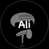ali_zlitney1