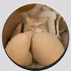 nomiresmiperfil29