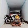 jan_cik7