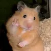lananh_889