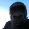 nhincaidaubuoi0241