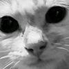 fefe.hermoso