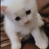 unknown_swdzz