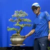 bonsai.trng.tuyn